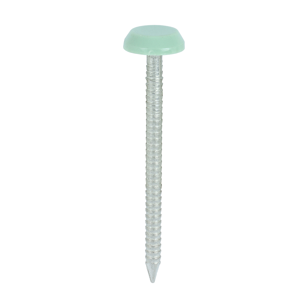 Chartwell Green 50mm Plastic Headed Nails x 100