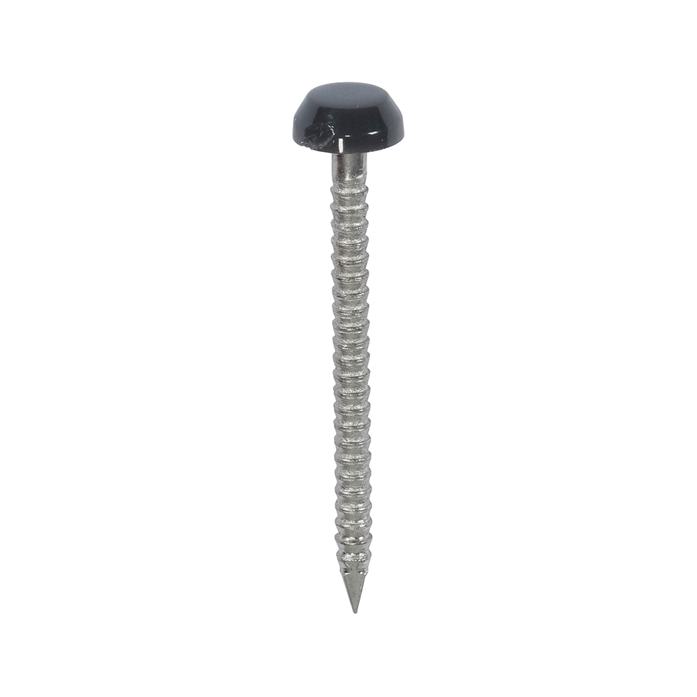 Anthracite Grey 30mm Plastic Headed Pins x 250
